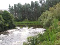 Albums/20060200-New Zealand 2006/20060313-Catlins/17